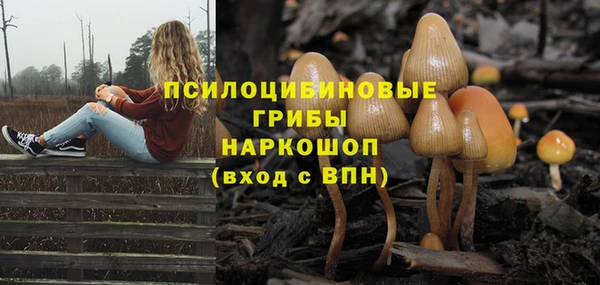 амфетамин Алексин