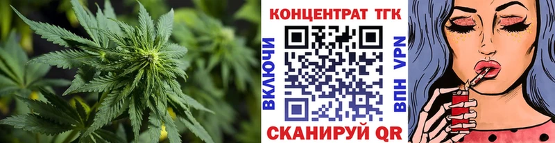 закладка  Олонец  ТГК THC oil 