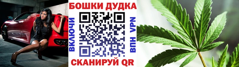 Марихуана конопля Олонец